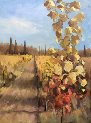 Vineyards (Growing Grapes). Morkovkin Boris