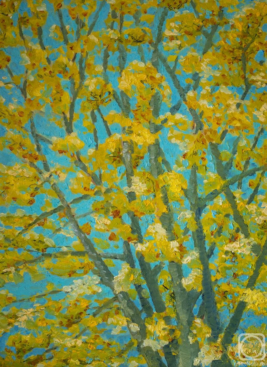 ������� ������ �� ������. ��������� ��������. �������� ���