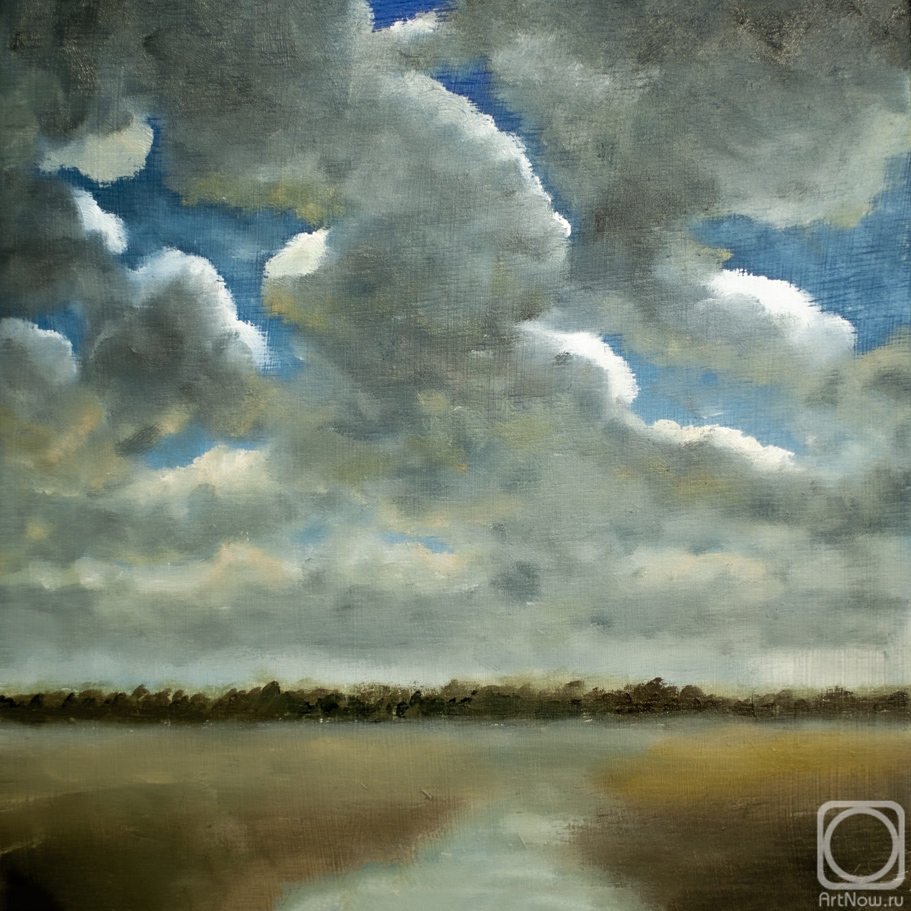 Dobrotvorskiy Aleksey. Extensive Landscape with Grey Clouds