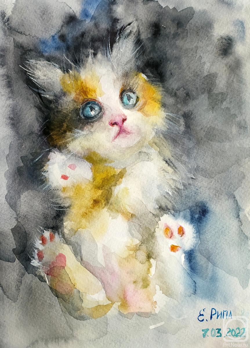 �������. ���� �����. �������