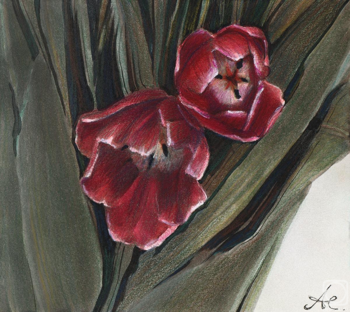 �������. ��������� ��������. ���������� ��������