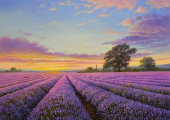 Lavender evening. Zhaldak Edward