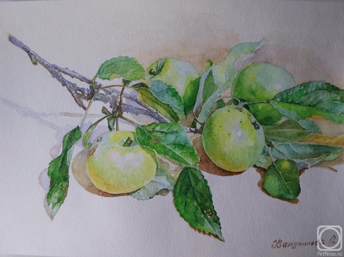 �������. ��������� ��������. ������ �������