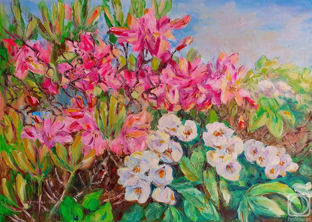 ������� ������ �� ������. �������� ��������. �����������