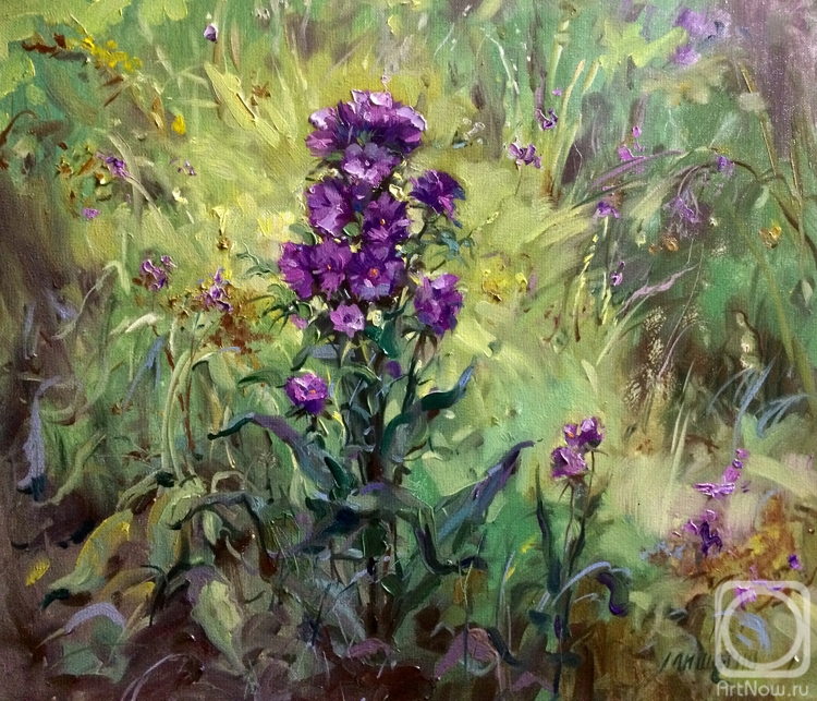 ������� ������ �� ������. ������� ������. ���� � ����