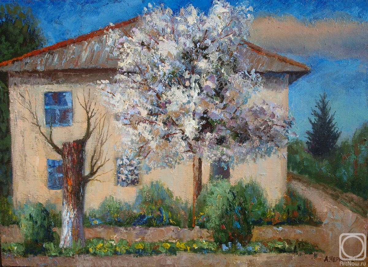 Chernyy Alexandr. The apple tree is blooming. Aktobe
