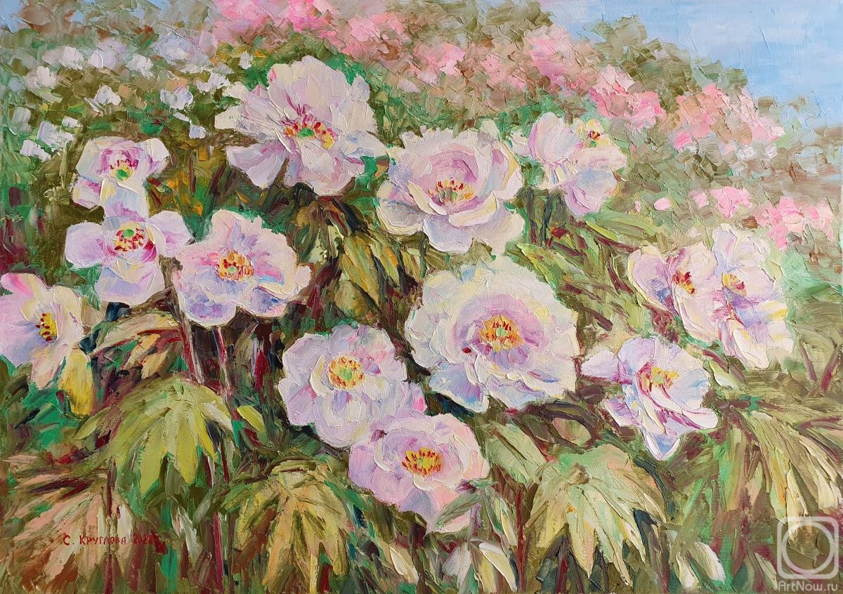 ������� ������ �� ������. �������� ��������. ����������� ����