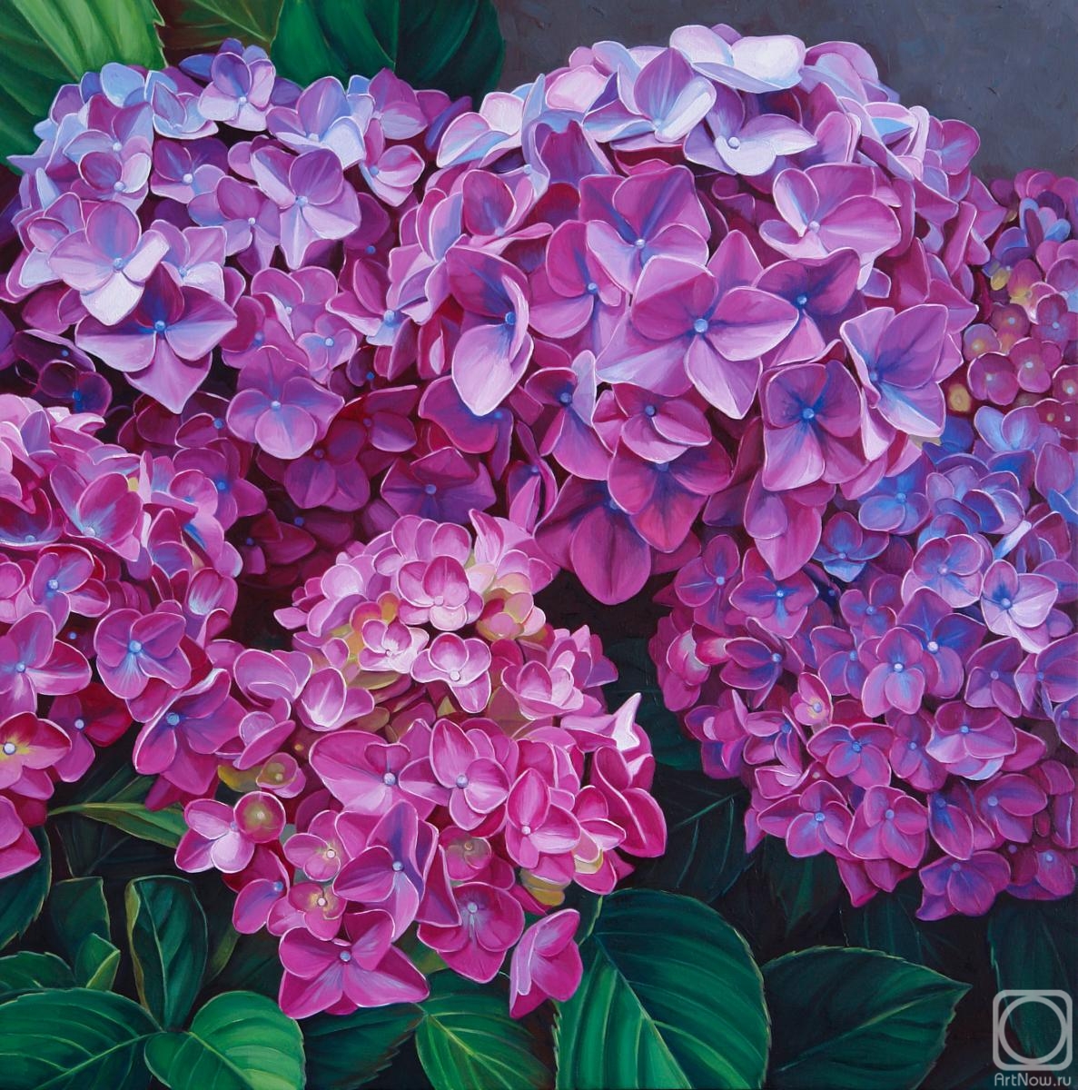 ������� ������ �� ������. ���������� ���������. ������� ���������