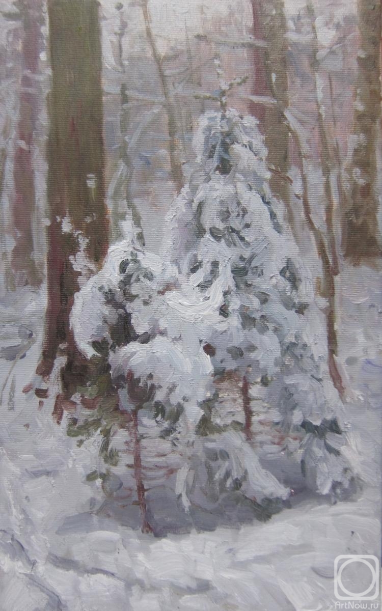 ������� ������ �� ������. ������ ������. � ���� �������� ������