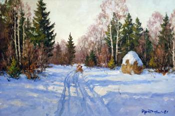 Road in the winter forest. Fedorenkov Yury