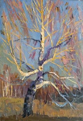 ������� �������� �����