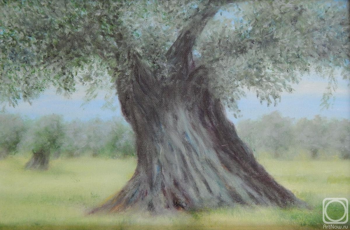 Fomina Lyudmila. Olive