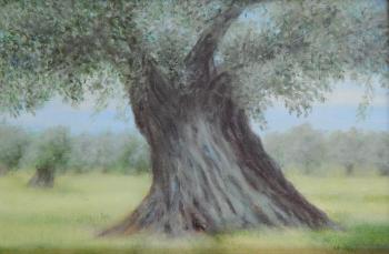  2 (Olive Tree).  