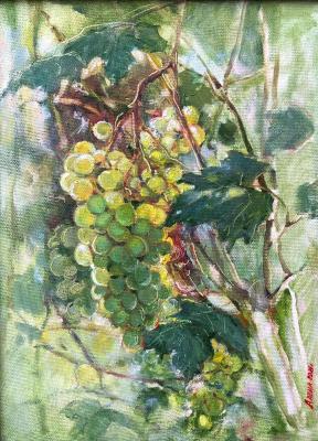 Bunch of grapes (Bunch Grapes). Rybina-Egorova Alena