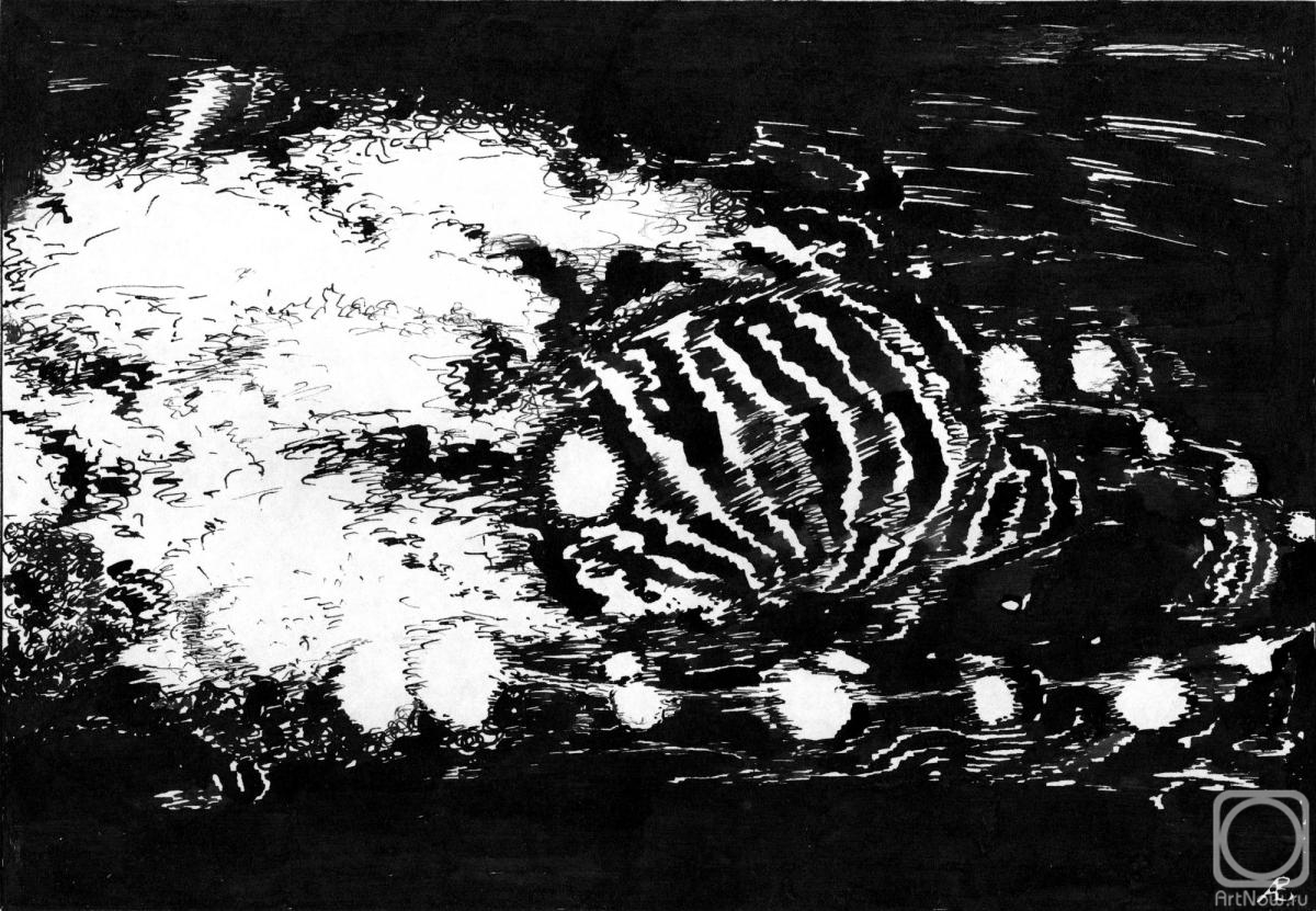 �������. ������� ��������. Abstr WB 5