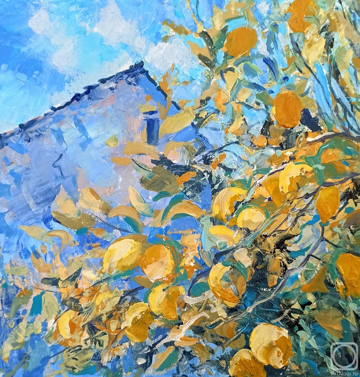 �������. ���������� ����. �������� ���� 1