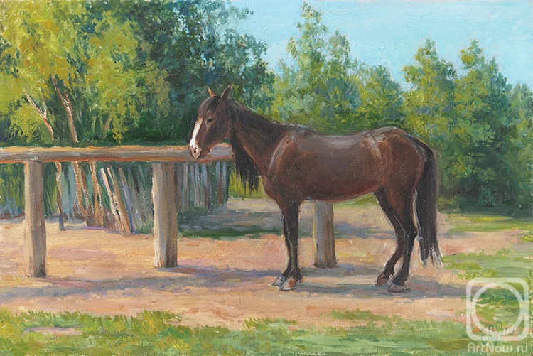 Shumakova Elena. Kalmyk horse (etude)