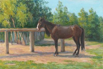 Kalmyk horse (etude) (Horse Art). Shumakova Elena