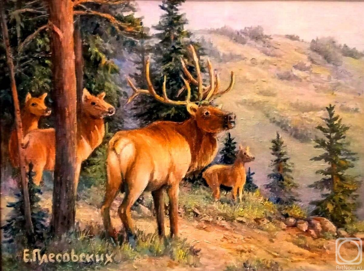 ������� ������ �� ������. ���������� �����. �����