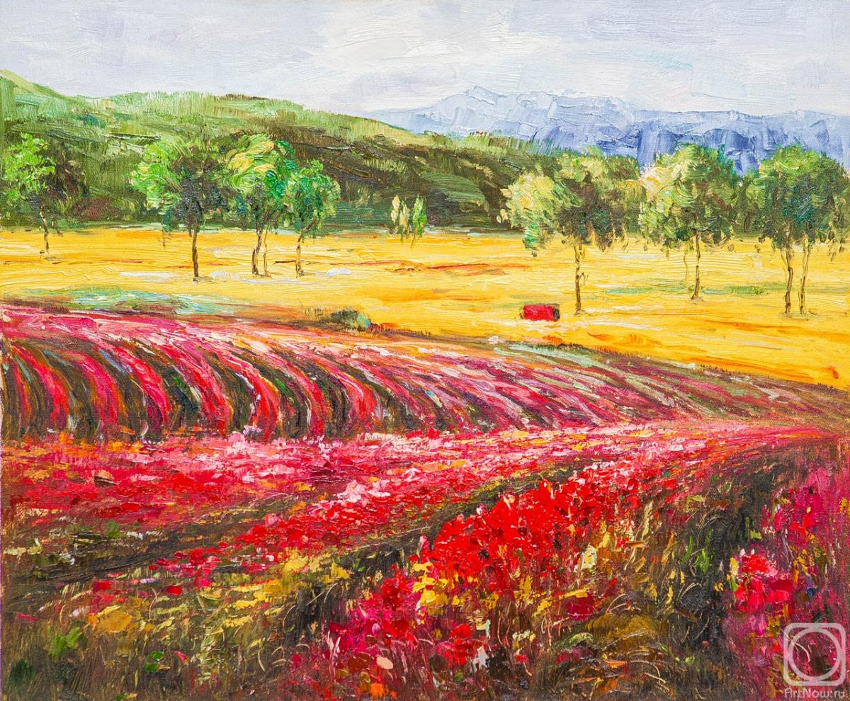 Vlodarchik Andjei. Flowering fields of Provence