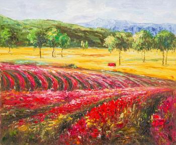 Flowering fields of Provence (Modern Impre). Vlodarchik Andjei