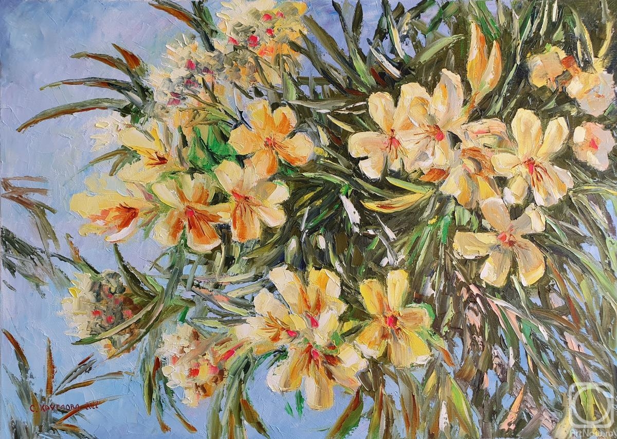 ������� ������ �� ������. �������� ��������. �������