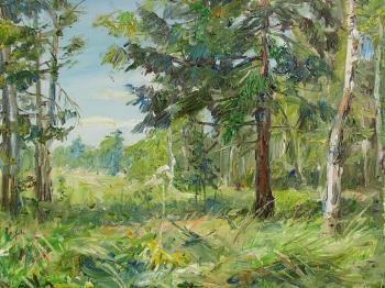 �������� ������ ����������. ��������� ���