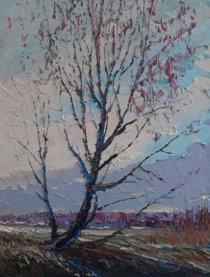 ����. ���������� �������