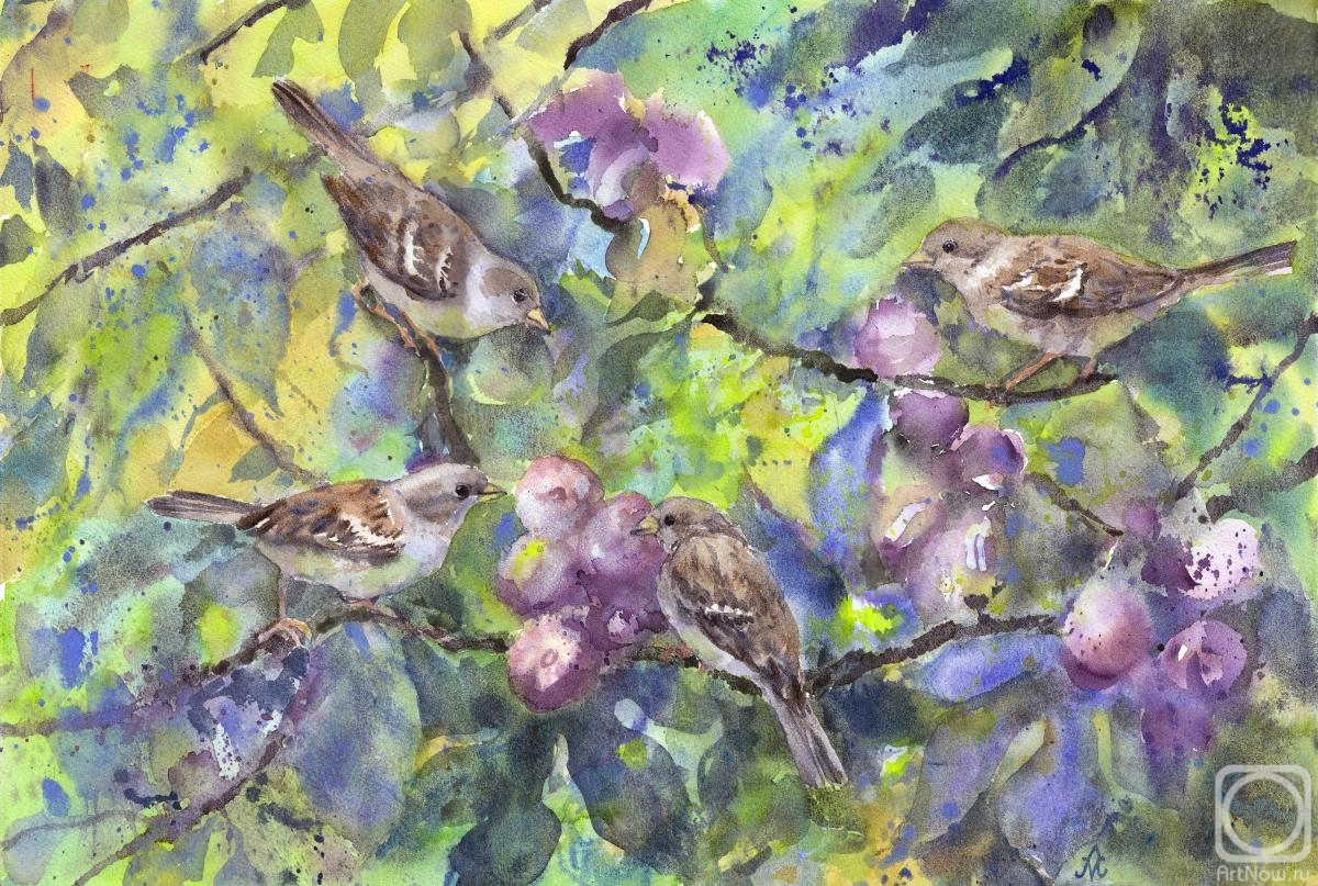 Masterkova Alyona. Sparrows on a fig tree