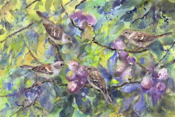 Sparrows on a fig tree. Masterkova Alyona