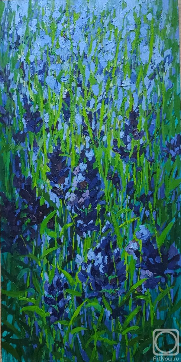 ������� ������ �� ������. �������� ���������. ������ �������