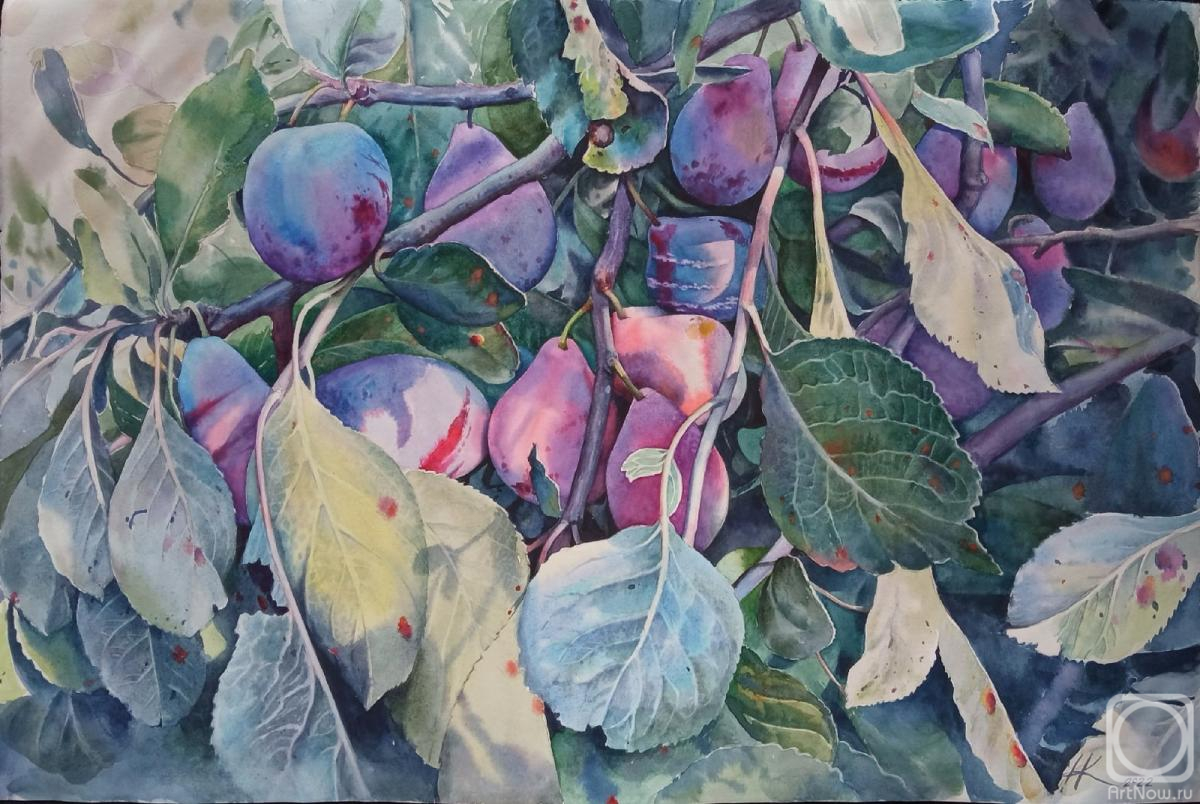 �������. �������� �������. �����