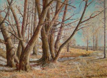 ������� ���������� ����