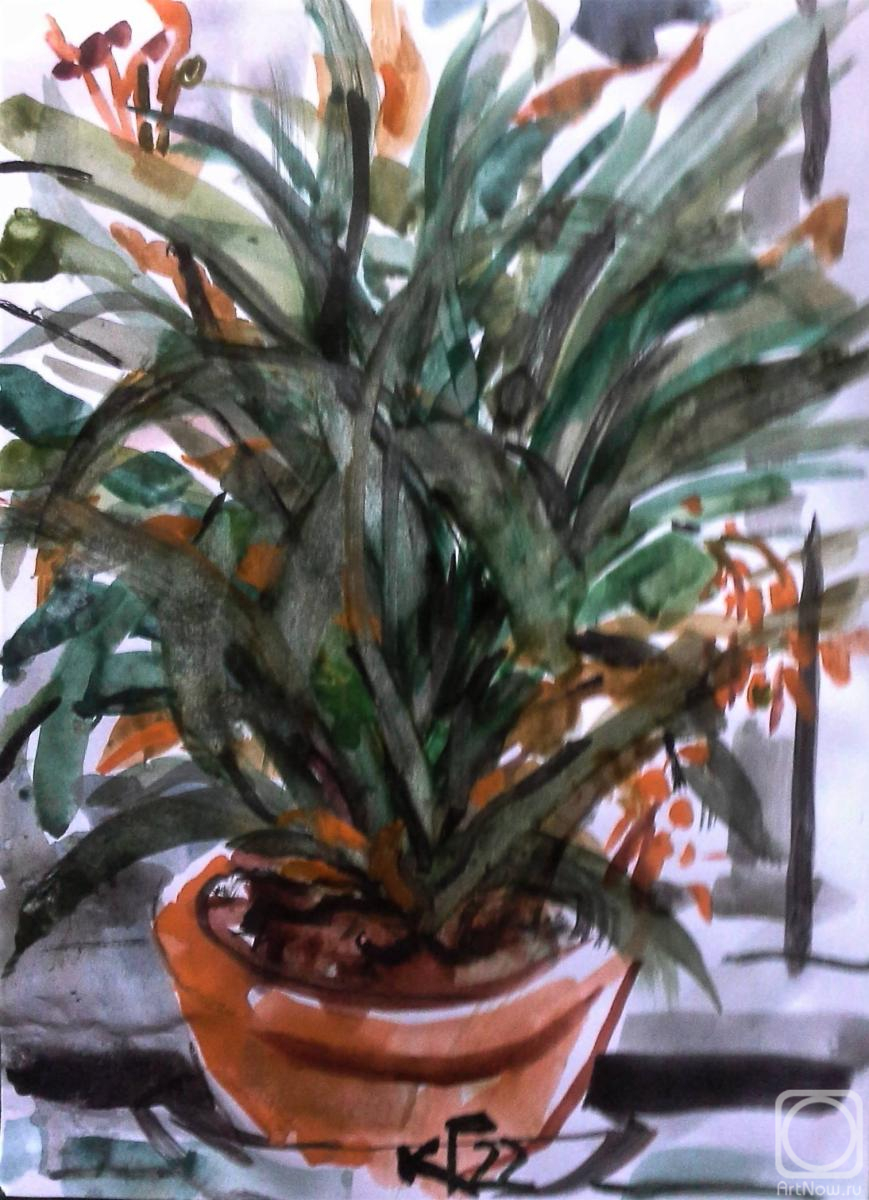 �������. �������� ������. ������ �������