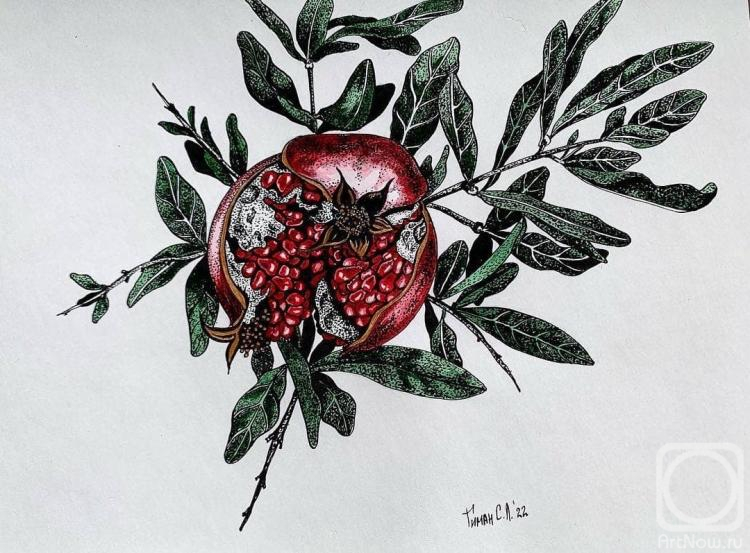 �������. ����� �������. ������