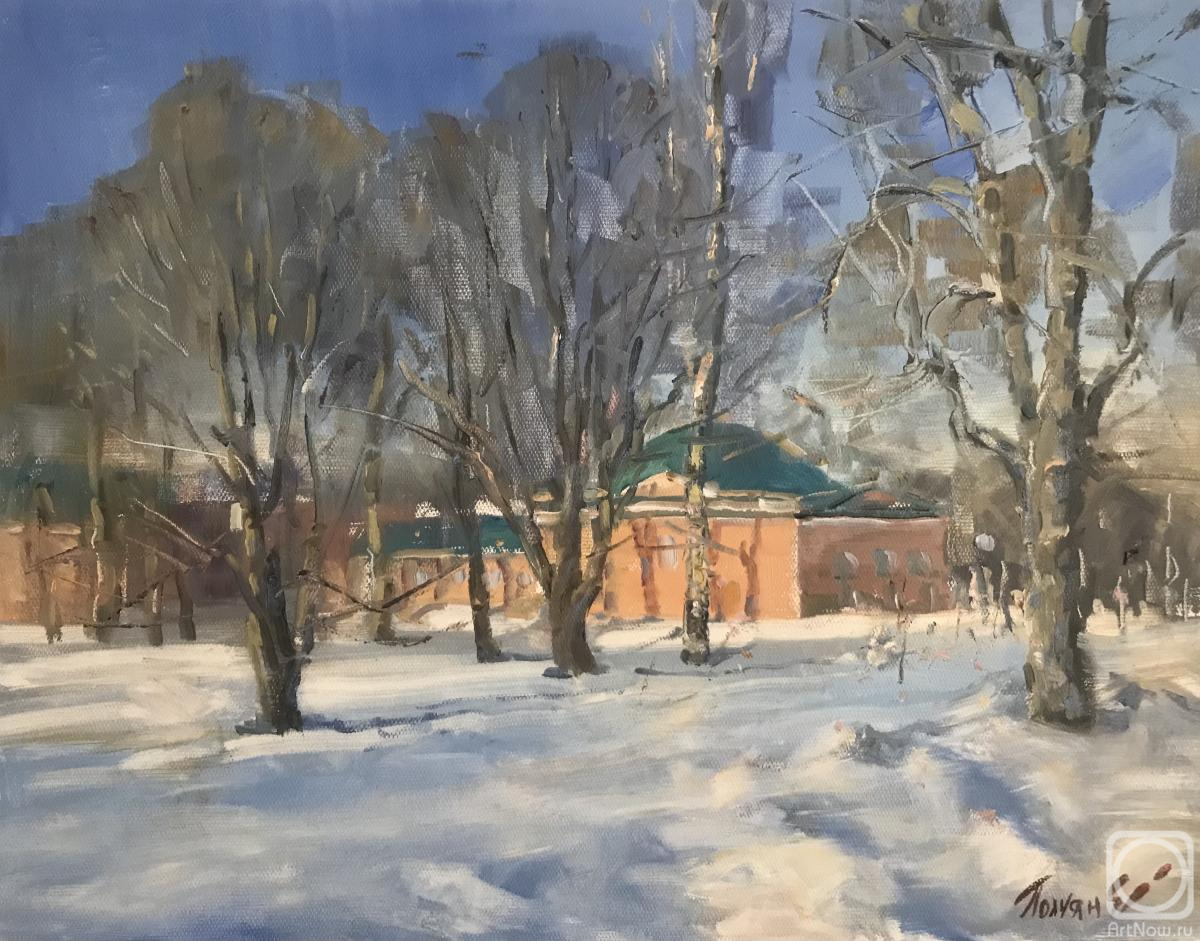 Poluyan Yelena. Winter in Vorontsovsky Park