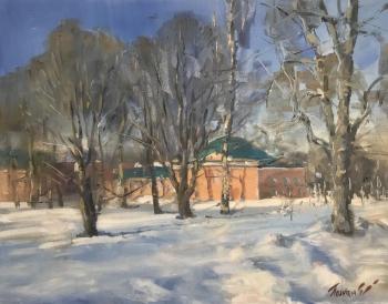 Winter in Vorontsovsky Park ( ). Poluyan Yelena