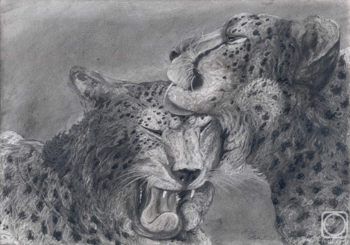 Dementiev Alexandr. Cheetah caresses his friend