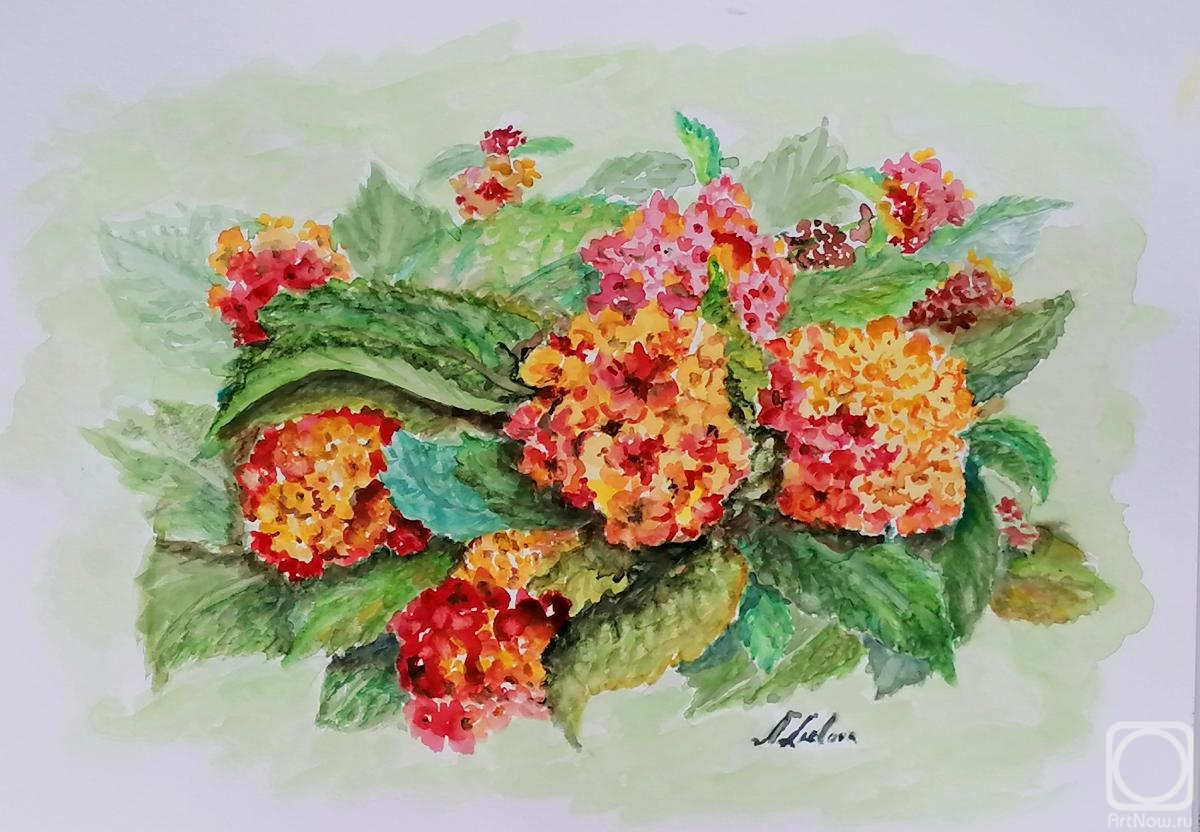 Lizlova Natalija. Untitled