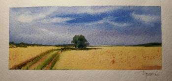 Wheat field. Durandin Viktor