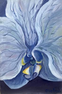 Blue Flower. Volna Olga