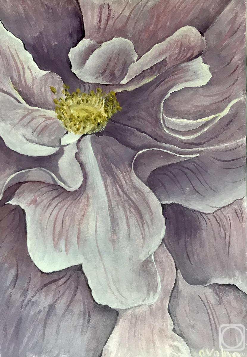 ������� ������ �� ������. ������ �����. ��������