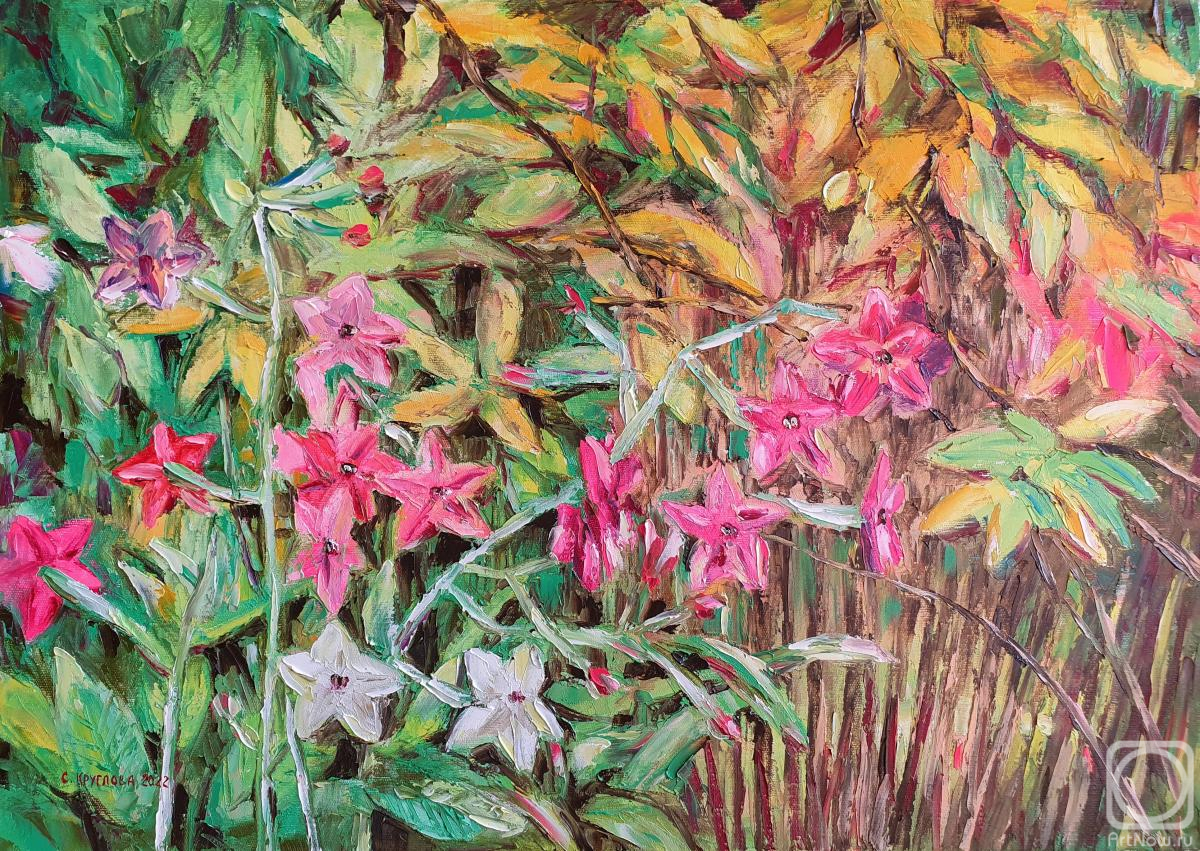 Kruglova Svetlana. Tobacco