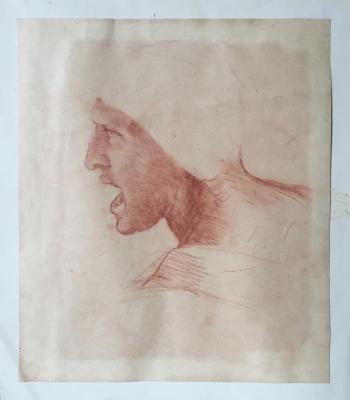 Screaming Warrior (copy of leonardo da Vinci's drawing). Napolova Natalia