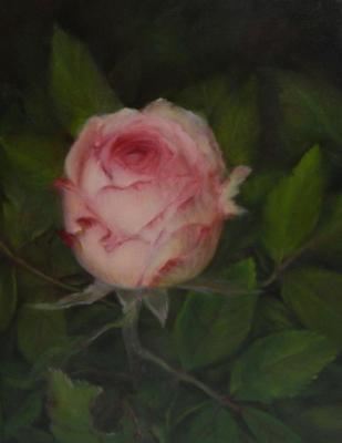 Rose in the garden. Fomina Lyudmila