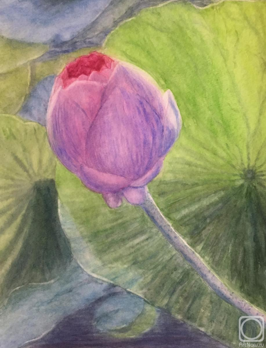 �������. ������ �������. ������