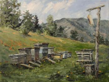 Altai apiary. Kuksa Vasiliy