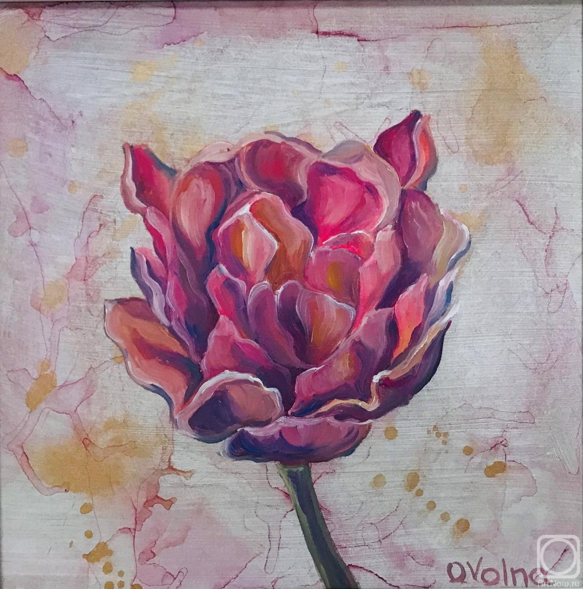 Volna Olga. Pink Tulip