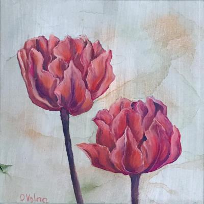 Two Pink Tulips. Volna Olga