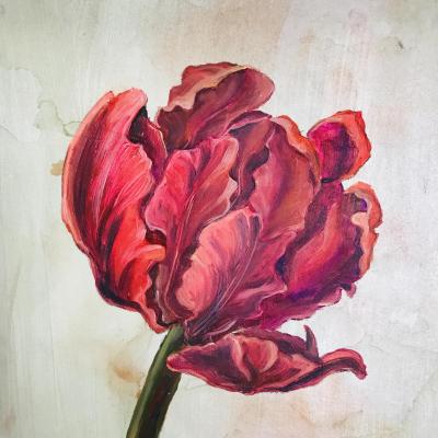 Pink Tulip. Volna Olga